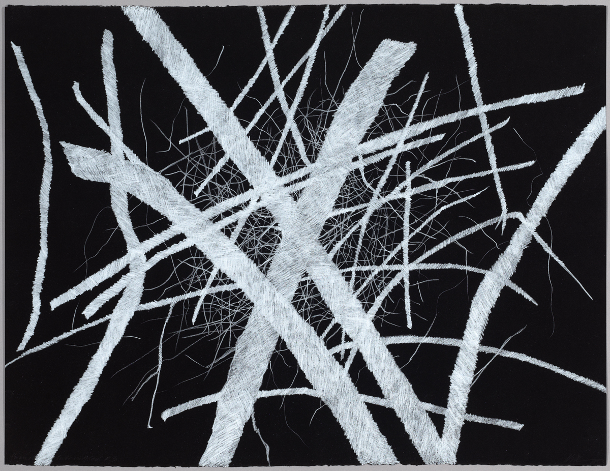 Lyn Horton, Branches white on black #3, 2018, 22 in h x 30 in w, colored pencil on black rag paper